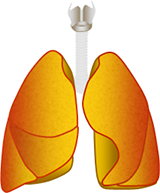 Respiratory Disease